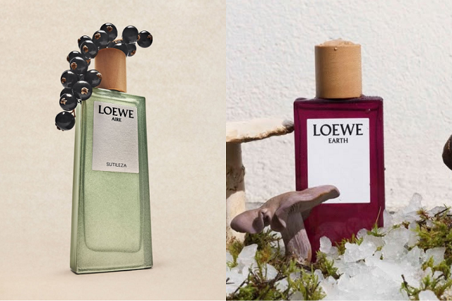 Loewe-4