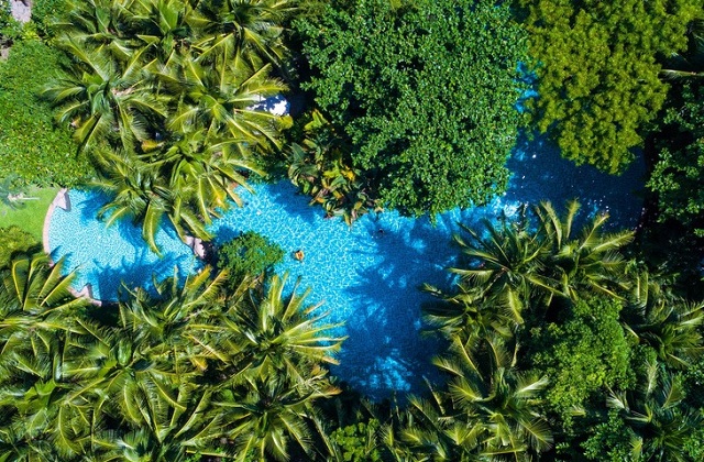 Ấn tượng trảng rừng nhiệt đới trong resort Đà Nẵng
