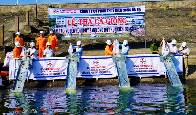 Công ty Sông Ba Hạ thả cá giống tái tạo nguồn lợi thủy sản tại lòng hồ Thủy điện