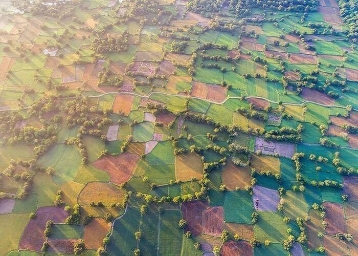 Ghé An Giang mùa lúa chín ngắm nhìn cánh đồng Tà Pạ độc đáo, đủ ô sắc màu