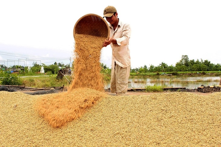 Cơ hội vàng cho thương hiệu gạo Việt Nam