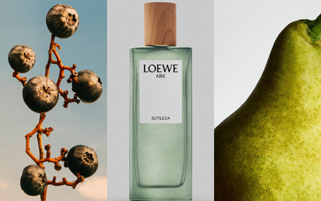 LOEWE-AIRE-SUTILEZA-5-31